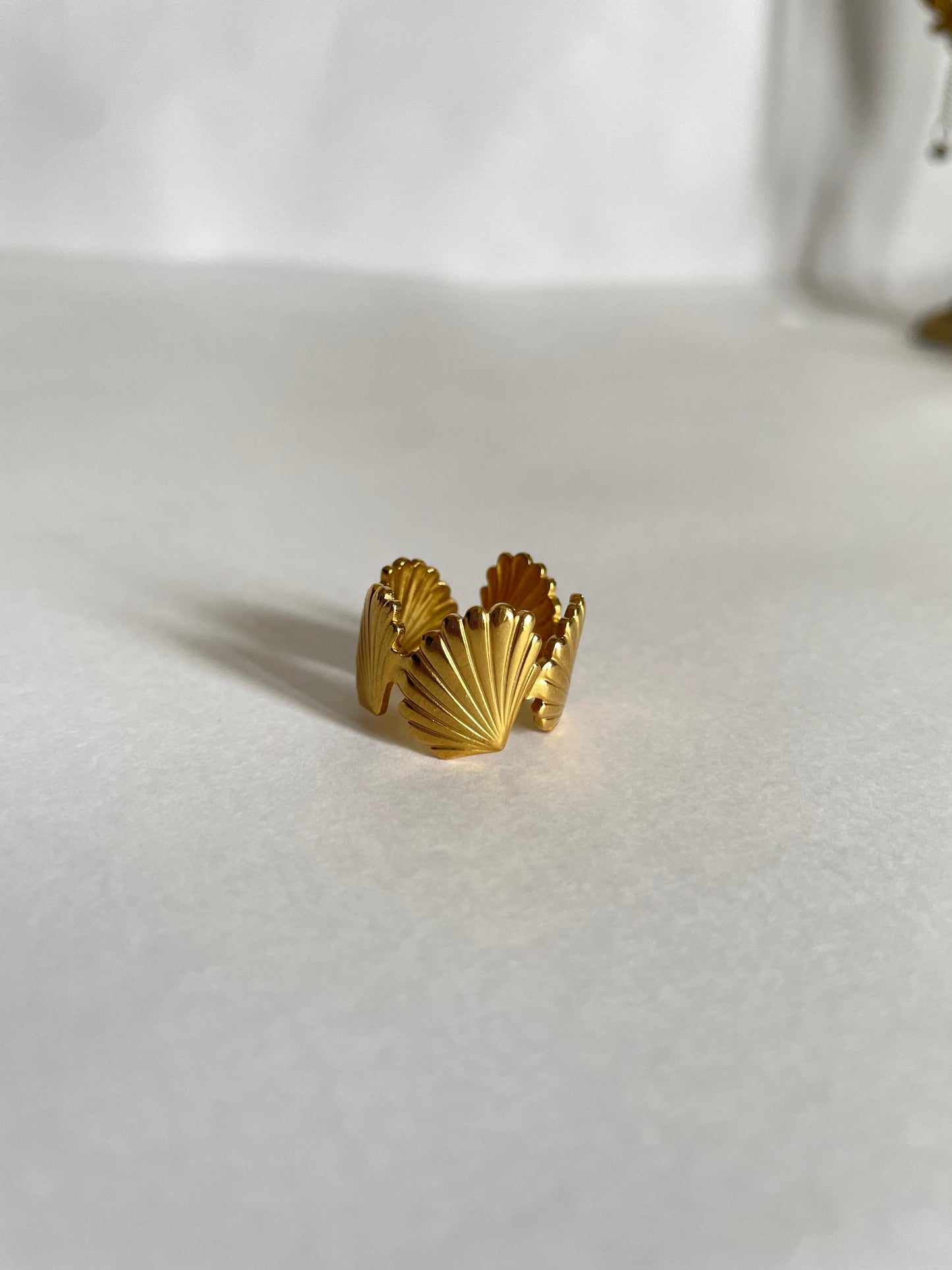 Shell Ring