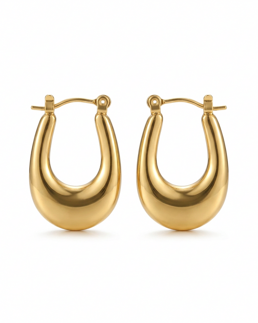 Zia Hoops