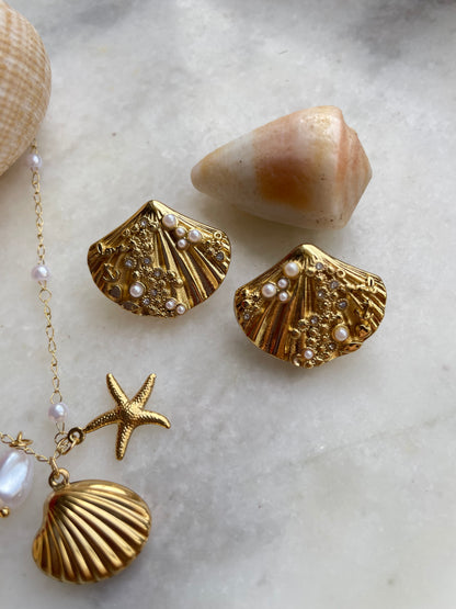 Sea Shell Earrings