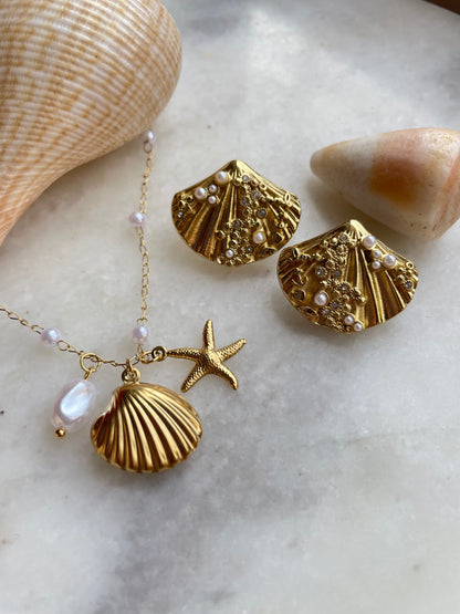 Sea Shell Earrings