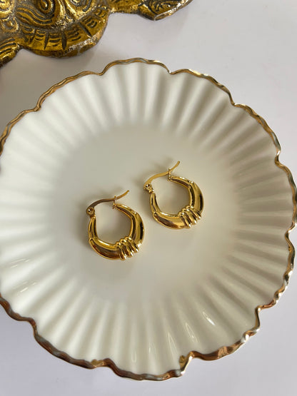 Talia Hoops