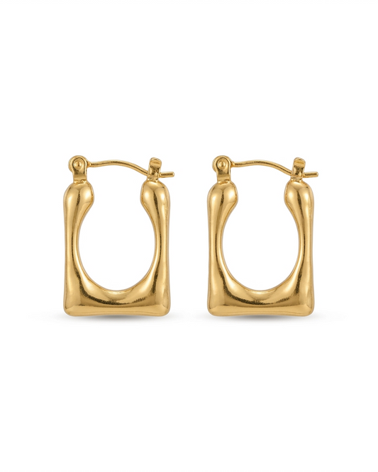 Zara Hoops