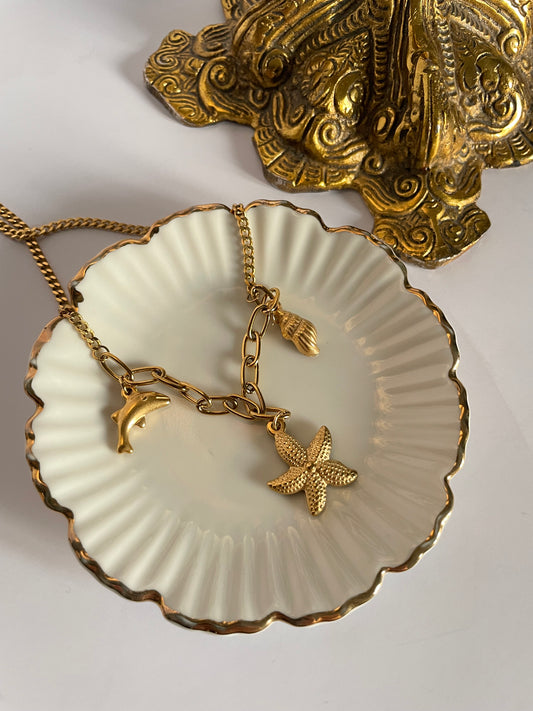 Star Shell Necklace