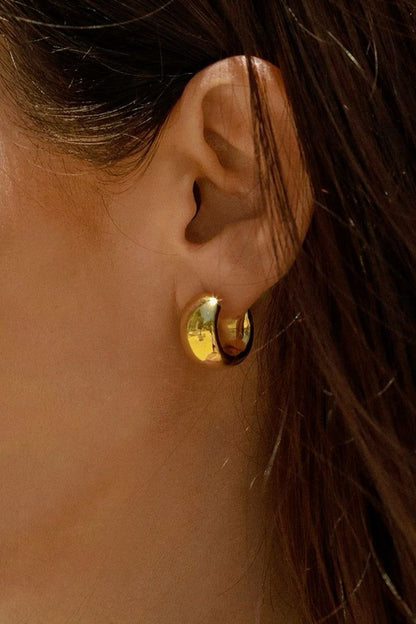 Anica Earrings